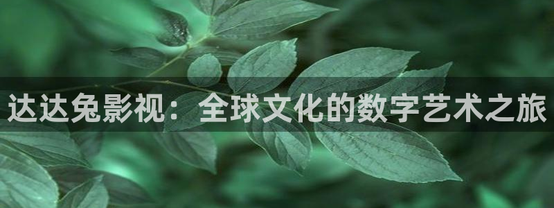 桔子影视电影网：达达兔影视：全球文化的数字艺术之旅