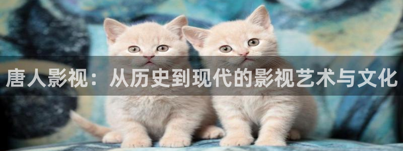 桔子影院在线