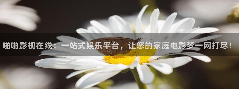 桔子在线看免费观看视频