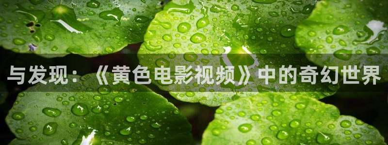 桔子的功效与作用